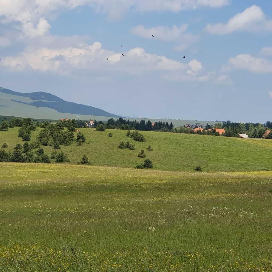 Planinska Kuca Sa Dvoristem Villa Златибор Екстериор снимка